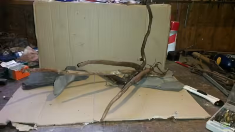 Dekoration im Aquarium 54 l Wurzelbiotop von Markaroni (20)