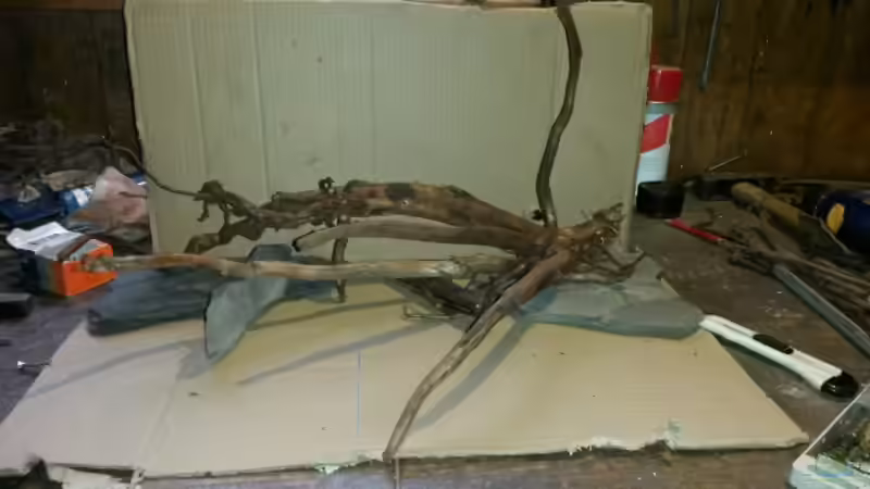 Dekoration im Aquarium 54 l Wurzelbiotop von Markaroni (21)