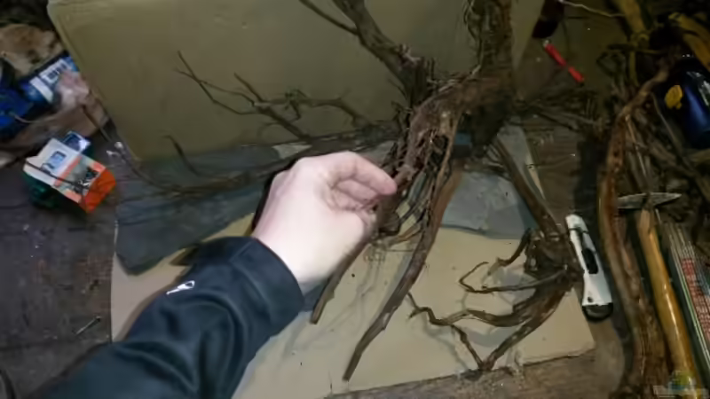 Dekoration im Aquarium 54 l Wurzelbiotop von Markaroni (22)