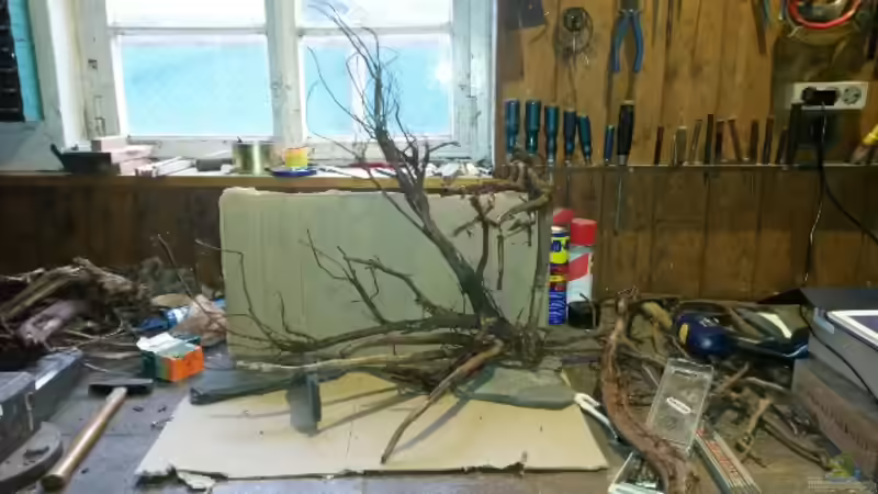 Dekoration im Aquarium 54 l Wurzelbiotop von Markaroni (23)