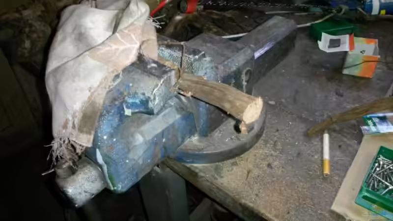 Dekoration im Aquarium 54 l Wurzelbiotop von Markaroni (27)