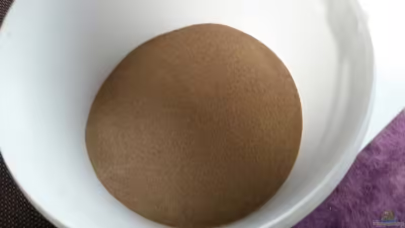 Dekoration im Aquarium 54 l Wurzelbiotop von Markaroni (31)