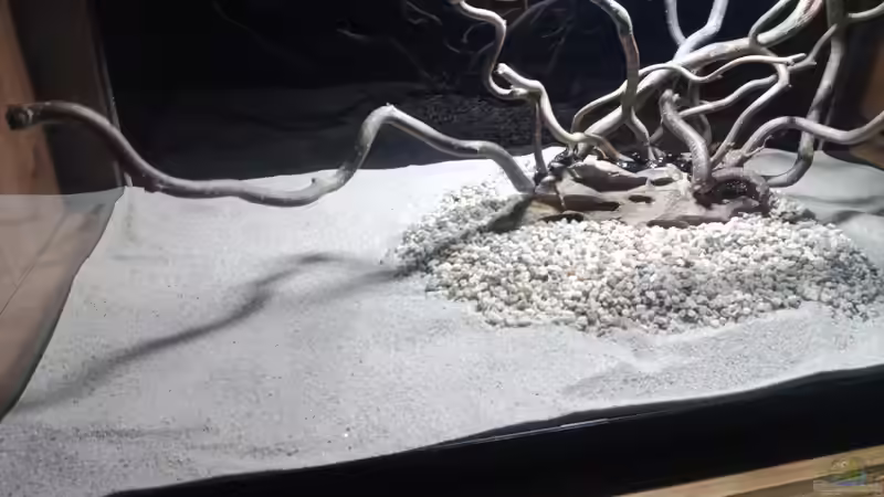 Dekoration im Aquarium 54er Scape / Wood-Stone von Torsten Bullmahn (10)