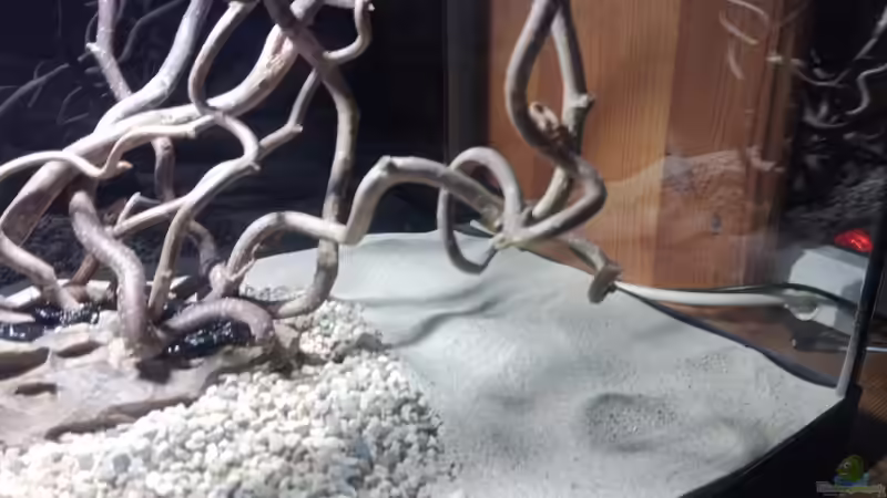 Dekoration im Aquarium 54er Scape / Wood-Stone von Torsten Bullmahn (11)