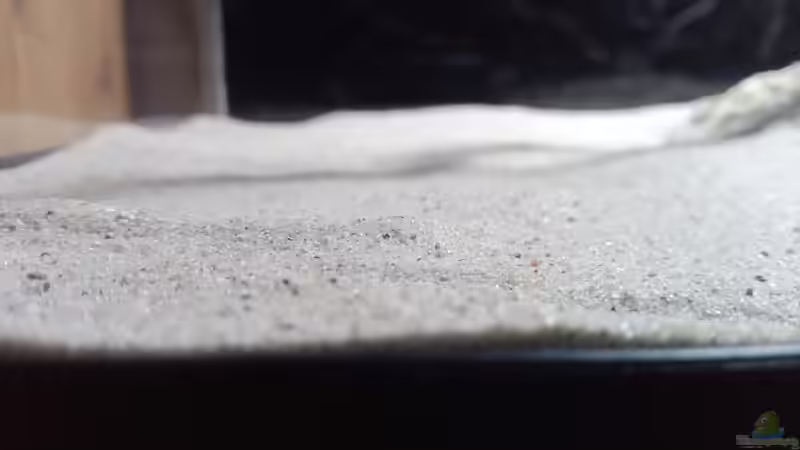 Dekoration im Aquarium 54er Scape / Wood-Stone von Torsten Bullmahn (13)