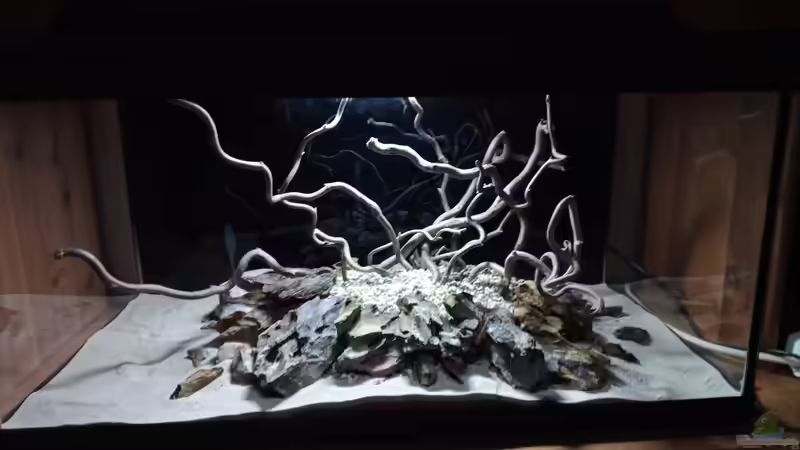 Dekoration im Aquarium 54er Scape / Wood-Stone von Torsten Bullmahn (18)