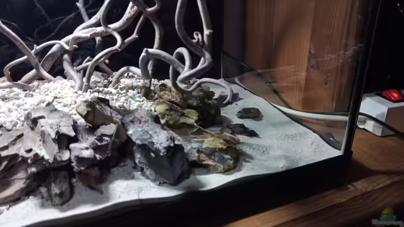 Dekoration im Aquarium 54er Scape / Wood-Stone von Torsten Bullmahn (19)