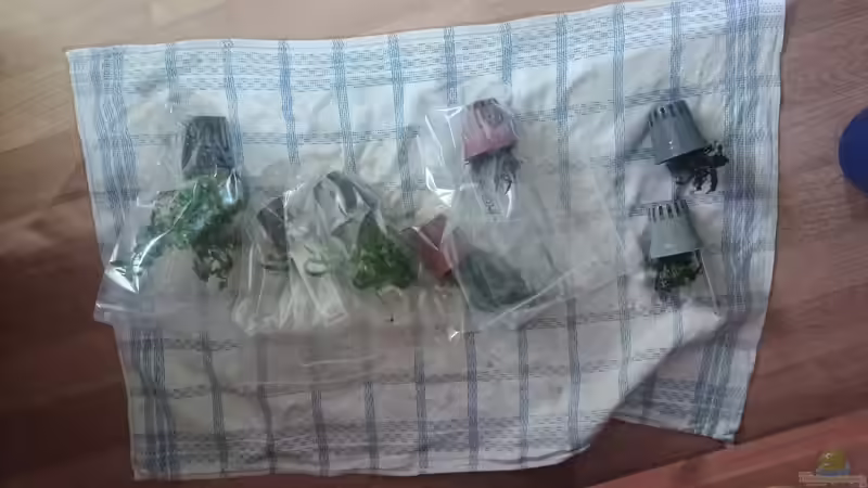 Dekoration im Aquarium 54er Scape / Wood-Stone von Torsten Bullmahn (23)