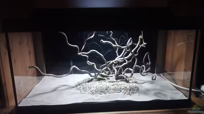 Dekoration im Aquarium 54er Scape / Wood-Stone von Torsten Bullmahn (9)