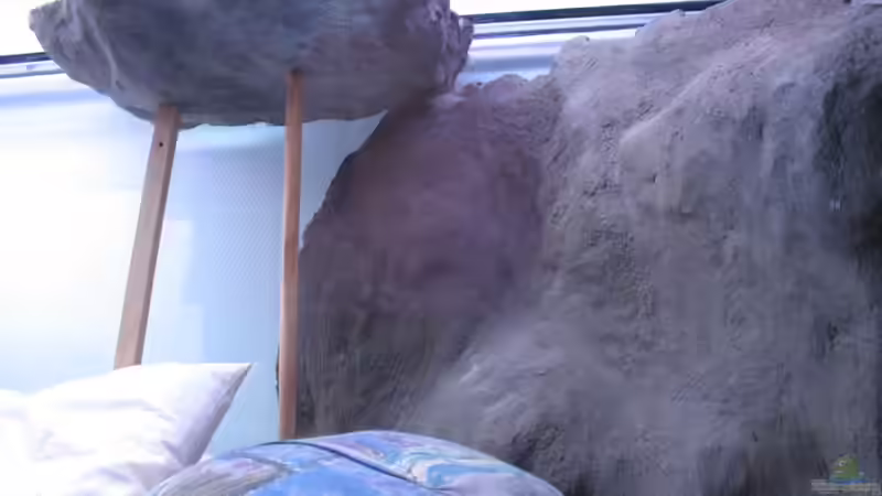 Dekoration im Aquarium 720 Räuberbecken von Marcus.H (7)