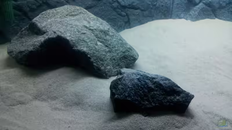 Dekoration im Aquarium African Tank Pl.Mdoka von MJ (14)
