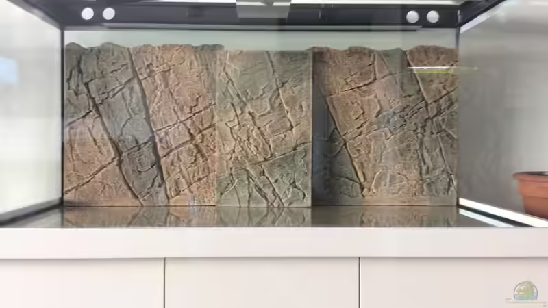 Dekoration im Aquarium Altum Traum von Domi b (6)