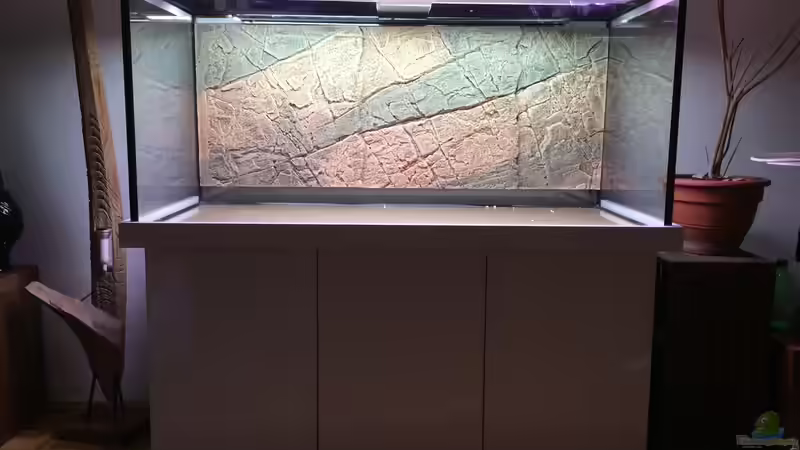 Dekoration im Aquarium Altum Traum von Domi b (7)