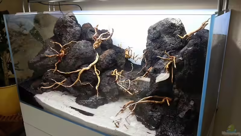 Dekoration im Aquarium Am Ende des Flusses von Marcel Reiter (24)