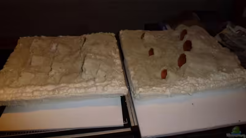 Dekoration im Aquarium Amazonas von master-marko (53)