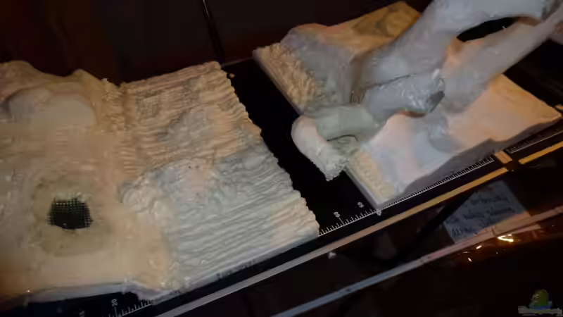 Dekoration im Aquarium Amazonas von master-marko (54)