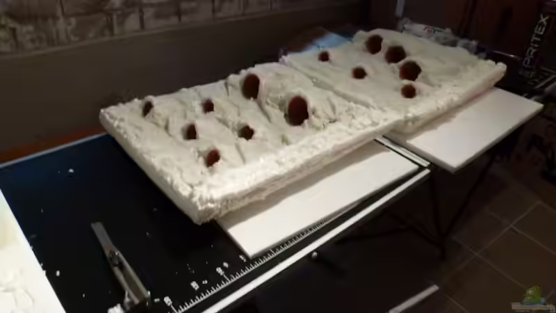 Dekoration im Aquarium Amazonas von master-marko (55)