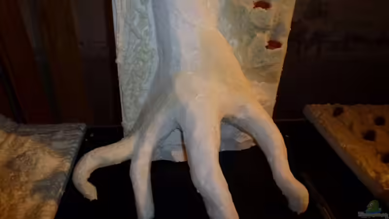 Dekoration im Aquarium Amazonas von master-marko (56)