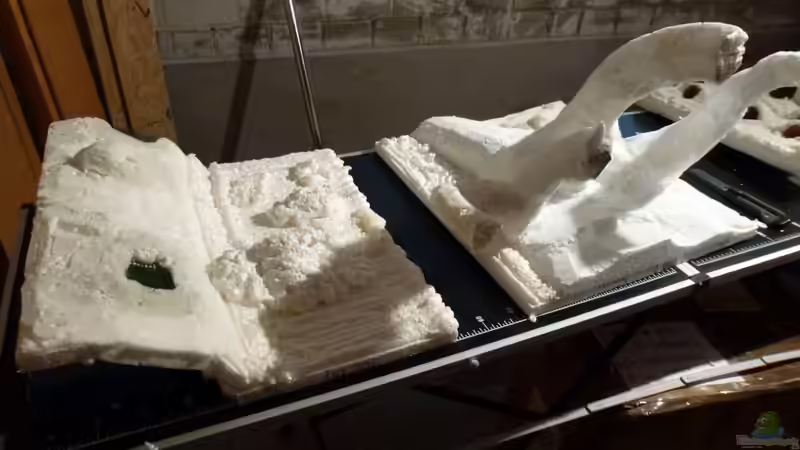 Dekoration im Aquarium Amazonas von master-marko (57)