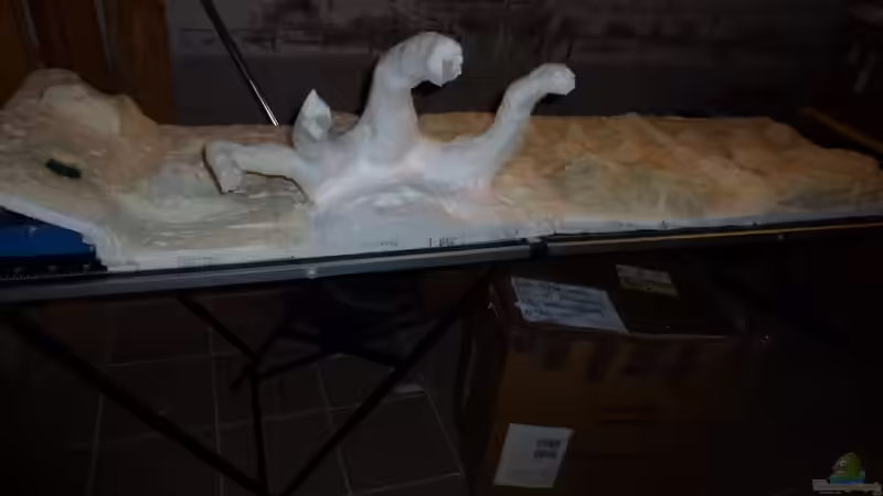 Dekoration im Aquarium Amazonas von master-marko (59)