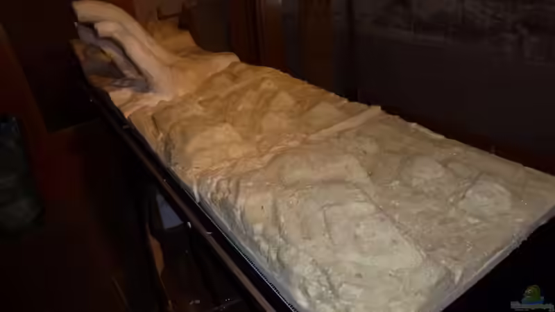 Dekoration im Aquarium Amazonas von master-marko (60)