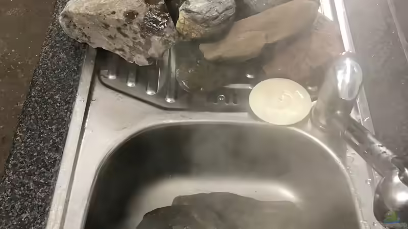 Dekoration im Aquarium Amazonas-Welsbecken von MaFu (25)