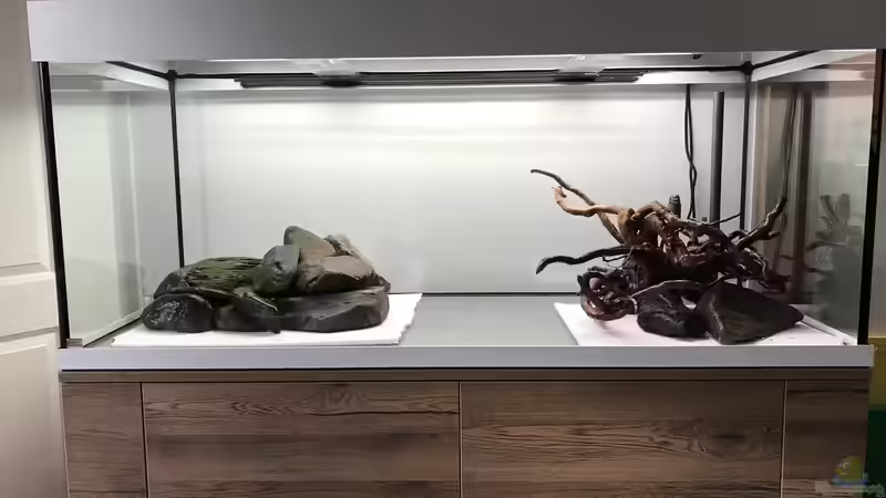 Dekoration im Aquarium Amazonas-Welsbecken von MaFu (26)