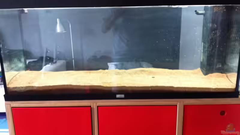 Dekoration im Aquarium AmazonParadies von linlan (20)