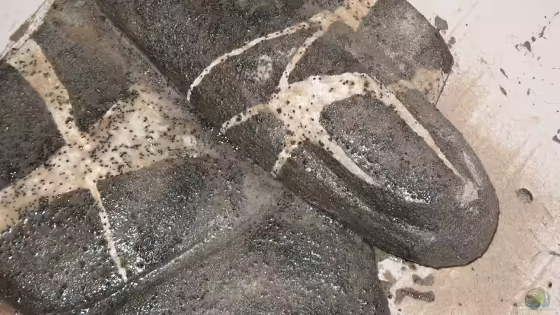 Dekoration im Aquarium &quot;Erosion...&quot;(nur noch Beispiel) von der Theoretiker (56)