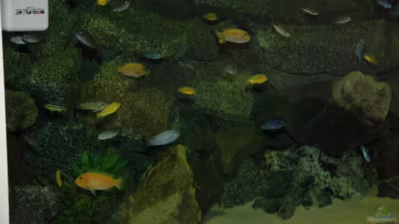 Dekoration im Aquarium &quot;Mpanga Rocks&quot; Nur noch als Beispiel von Wimmer Jürgen (11)