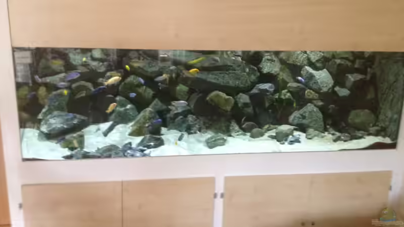 Dekoration im Aquarium &quot;Mpanga Rocks&quot; Nur noch als Beispiel von Wimmer Jürgen (12)