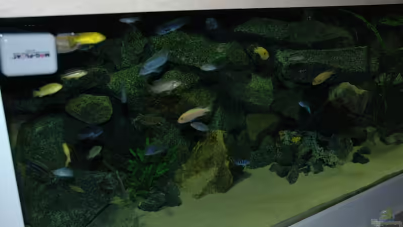 Dekoration im Aquarium &quot;Mpanga Rocks&quot; Nur noch als Beispiel von Wimmer Jürgen (9)