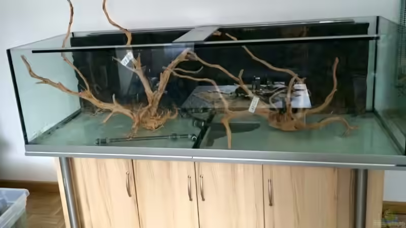 Dekoration im Aquarium Angels Place ... von Marcus Lucke (14)