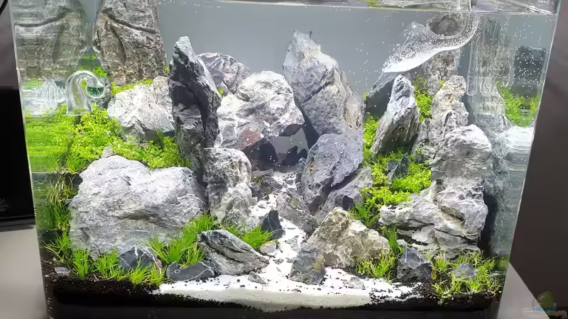 Dekoration im Aquarium Another World von similis (37)