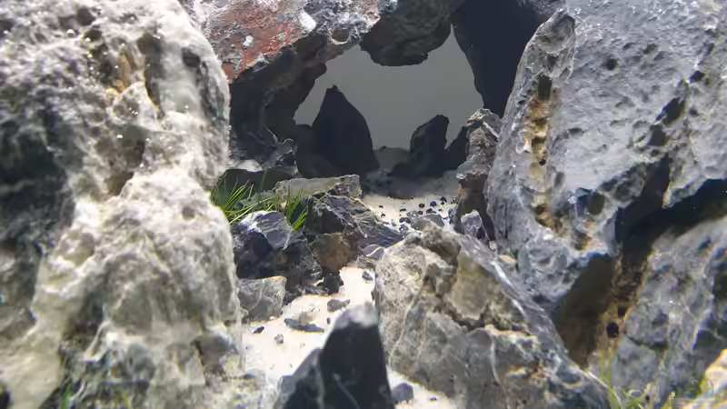 Dekoration im Aquarium Another World von similis (38)