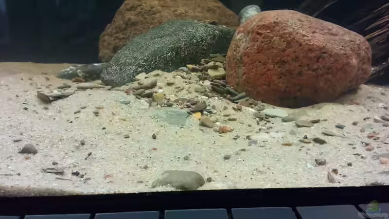 Dekoration im Aquarium AquaRio von Ben yamin (6)