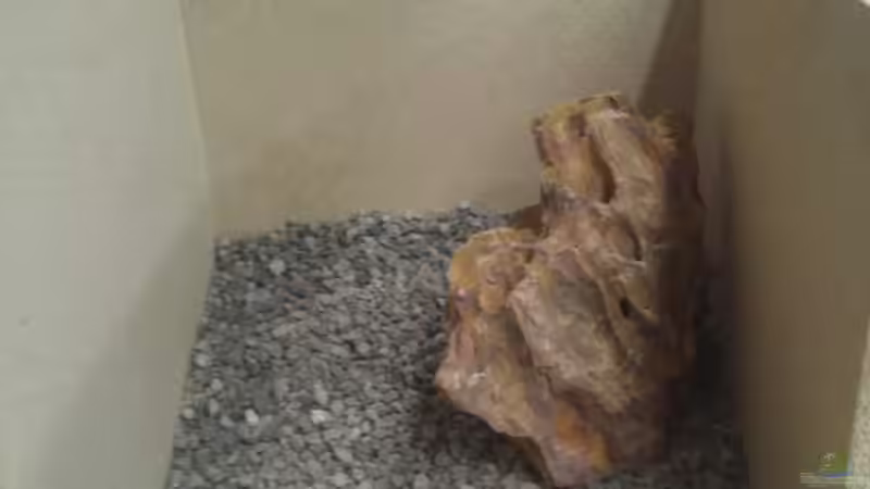 Dekoration im Aquarium Aquascape Nanocube30 Dragonstone von Sandro (9)