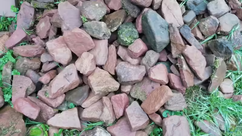 Dekoration im Aquarium Asian Puffer von - Stephen - (14)