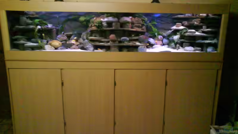 Dekoration im Aquarium Atlantis von LaEy (38)