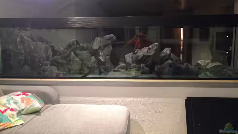 Dekoration im Aquarium aufgelöst ....the_HEART_of_ AFRICA..... von Swenni (28)