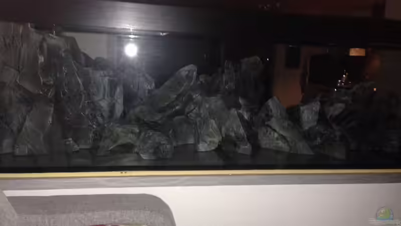 Dekoration im Aquarium aufgelöst ....the_HEART_of_ AFRICA..... von Swenni (29)