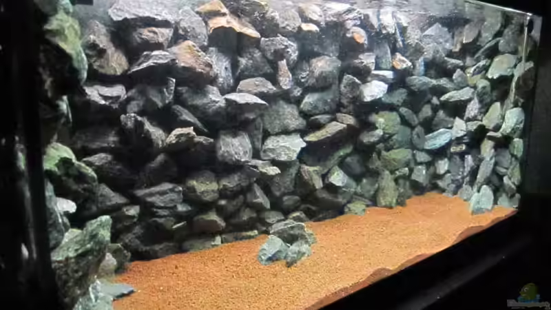 Dekoration im Aquarium Baby Home Malawi von Malawi-Dude (3)