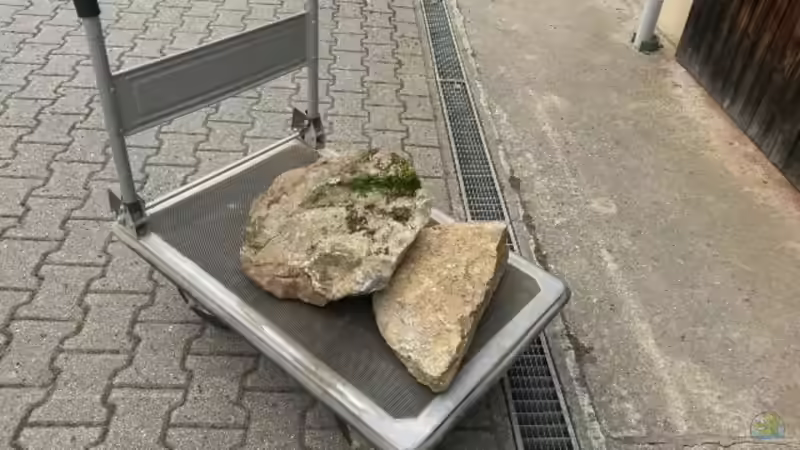 Dekoration im Aquarium Bachlauf Riparium von Markaroni (34)