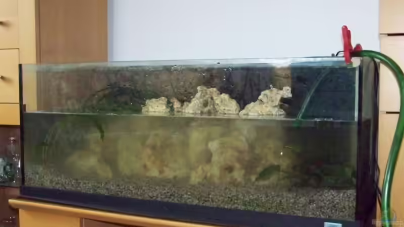 Dekoration im Aquarium Becken 10002 von Andy Hurm (12)