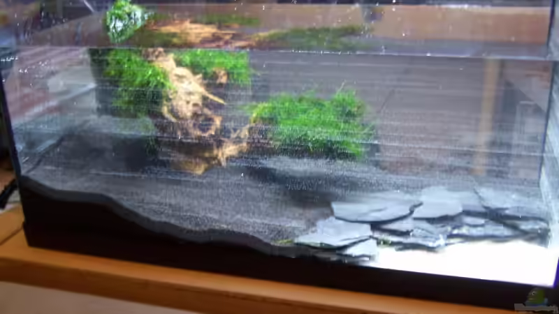 Dekoration im Aquarium Becken 10006 von Dani B (7)