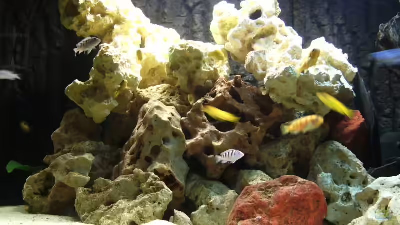 Dekoration im Aquarium Becken 10417 von Andreas Kraus (3)