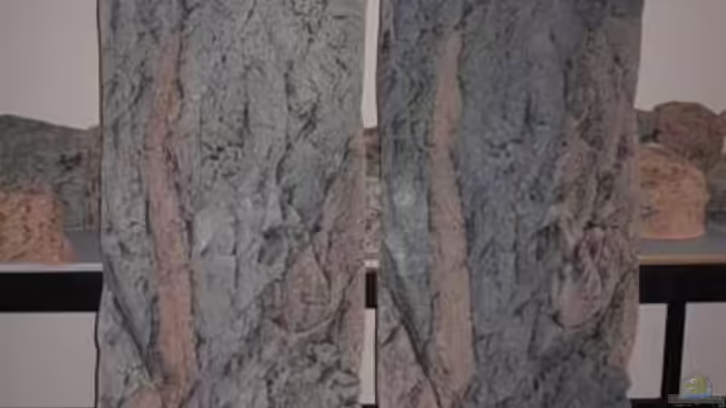 Dekoration im Aquarium Becken 10590 von Wietze Bron (47)