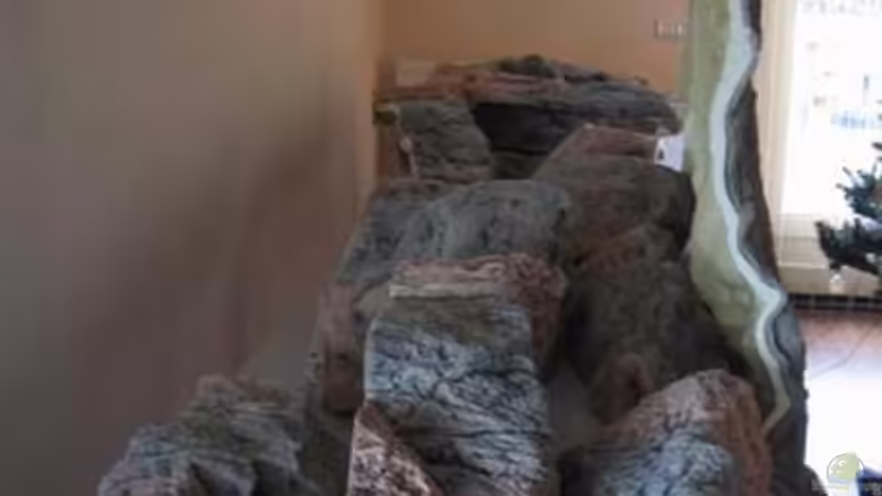 Dekoration im Aquarium Becken 10590 von Wietze Bron (48)