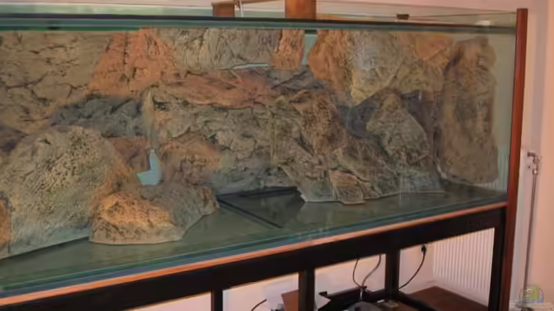 Dekoration im Aquarium Becken 10590 von Wietze Bron (49)