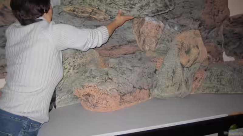 Dekoration im Aquarium Becken 10590 von Wietze Bron (50)